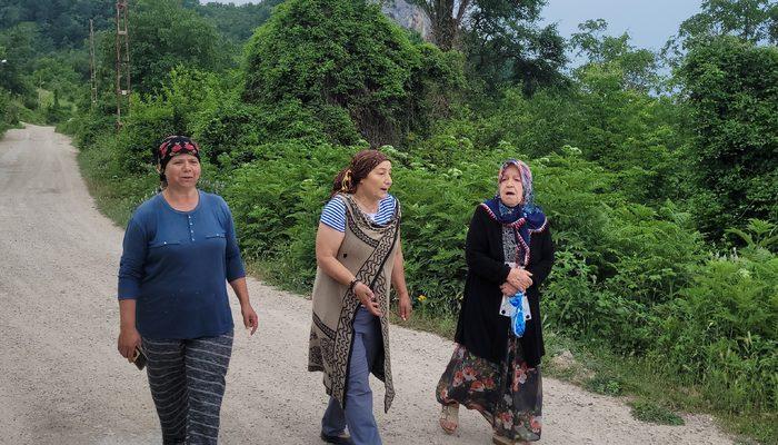 Kastamonu'da bir mahalle diken üstünde! Dayısının oğlu sandı, ayıyı görünce sesi kısıldı