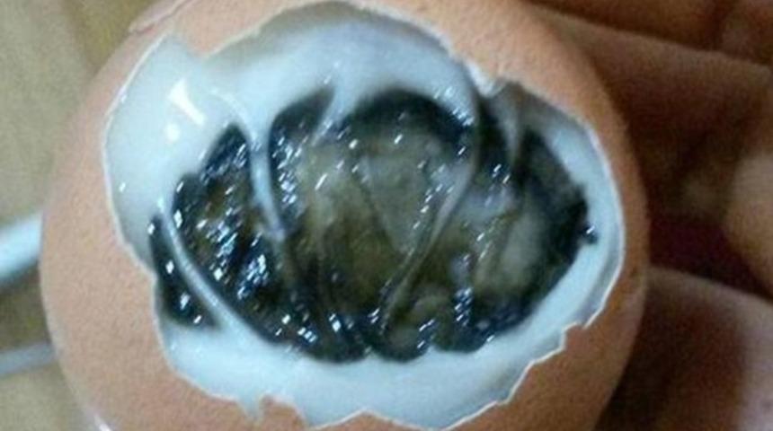 Yumurtanın i&ccedil;inden &ccedil;ıkan g&ouml;renleri hayrete d&uuml;ş&uuml;rd&uuml;