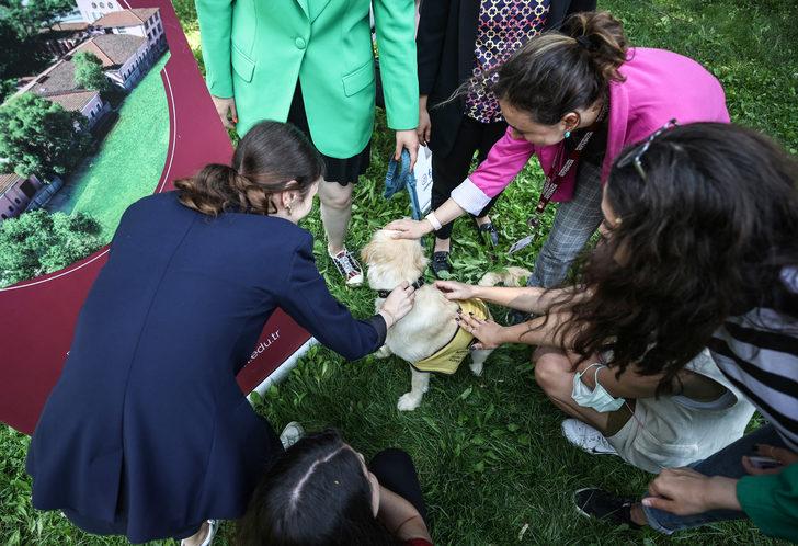 Bezmialem Vakıf Üniversitesi'nde "Rehber Köpek" etkinliği G3