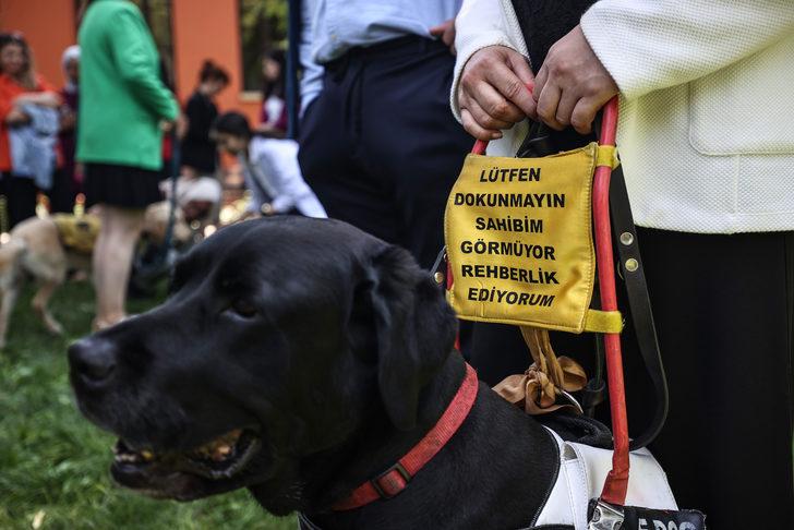 Bezmialem Vakıf Üniversitesi'nde "Rehber Köpek" etkinliği G4