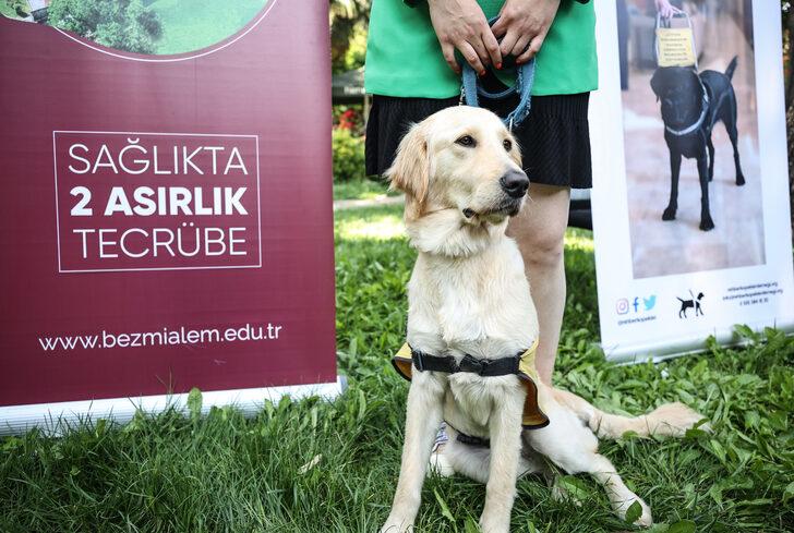 Bezmialem Vakıf Üniversitesi'nde "Rehber Köpek" etkinliği G5