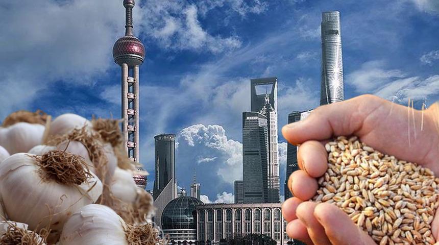 Bu da oldu! Ülkede ilginç kampanya, konut peşinatında buğday ve sarımsak dönemi