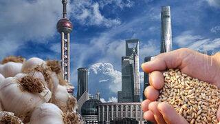 Bu da oldu! Ülkede ilginç kampanya, konut peşinatında buğday ve sarımsak dönemi