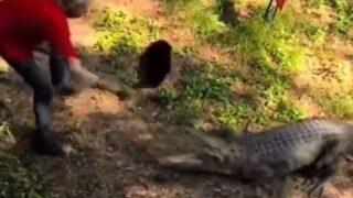 Sosyal medyada gündem yarattı! Bahçesine giren 2 buçuk metre boyundaki timsahı tavayla kovaladı