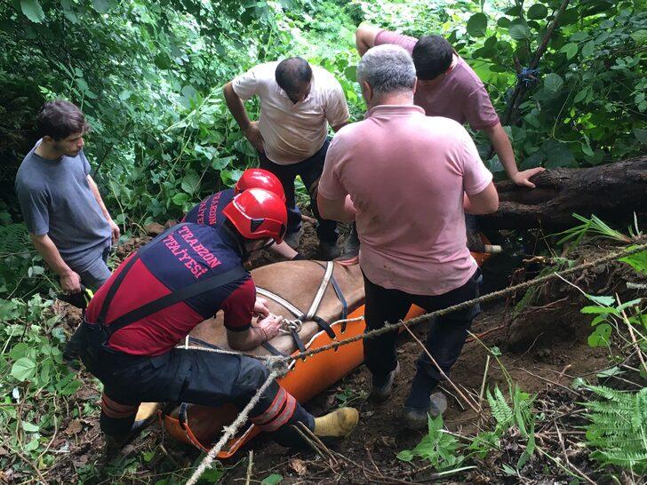 Trabzon'da otlarken uçuruma düşen inek itfaiye ekiplerince kurtarıldı G3