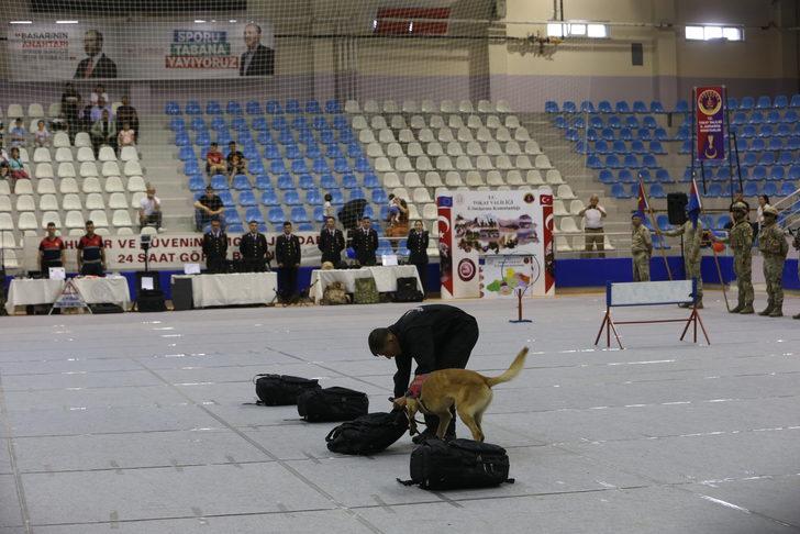 Tokat'ta jandarma arama köpekleri hünerlerini sergiledi G5