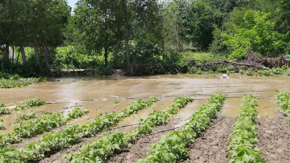 Bilecik'te doludan etkilenen tarım alanlarında hasar tespit &ccedil;alışmasına başlandı