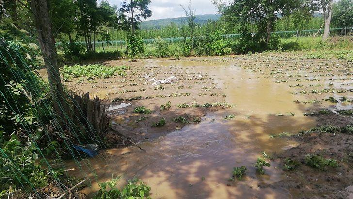 Bilecik'te doludan etkilenen tarım alanlarında hasar tespit çalışmasına başlandı G2