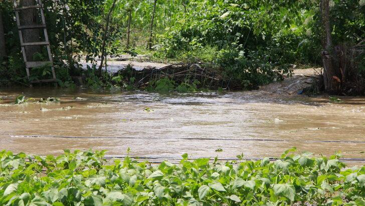 Bilecik'te doludan etkilenen tarım alanlarında hasar tespit çalışmasına başlandı G4