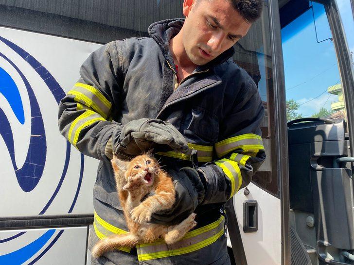 Düzce'de minibüsün kapı pandizotuna giren kedi yavrusu kurtarıldı G1