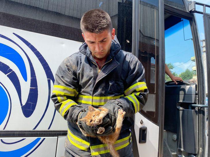 Düzce'de minibüsün kapı pandizotuna giren kedi yavrusu kurtarıldı G2