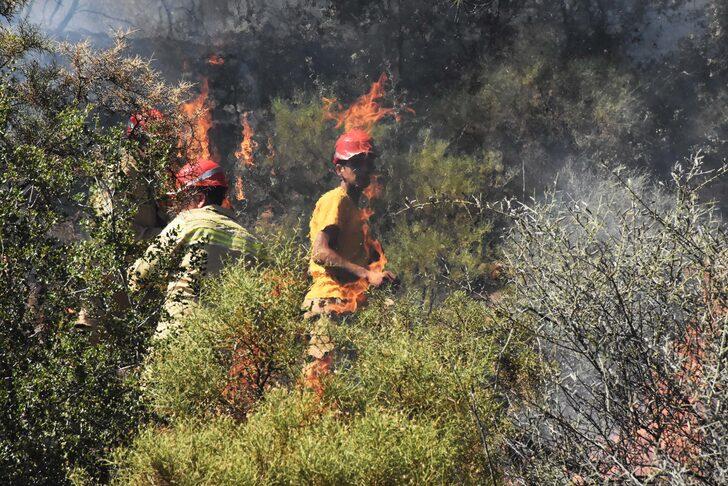 GÜNCELLEME - Muğla'da orman yangını çıktı G2