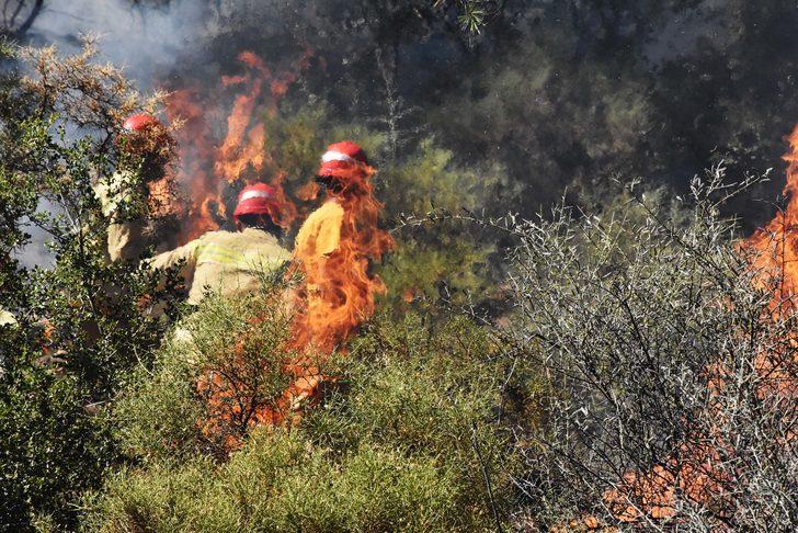 GÜNCELLEME - Muğla'da orman yangını çıktı G4