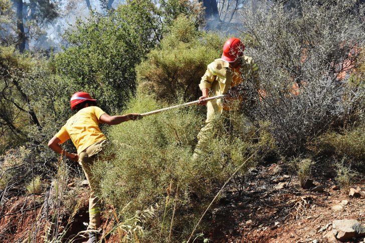 GÜNCELLEME - Muğla'da orman yangını çıktı G5