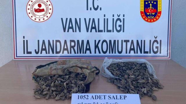 İzinsiz toplamışlardı, bin pişman oldular! 438 bin 372 lira ceza kesildi...