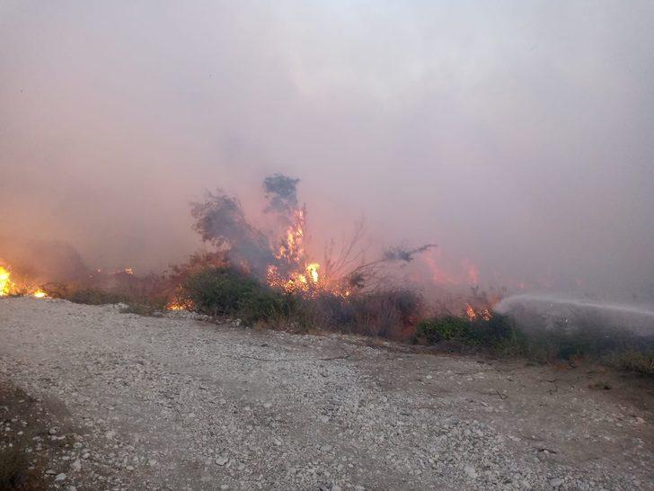 GÜNCELLEME - Antalya'da zeytinlik ve sazlık alanda yangın çıktı G2