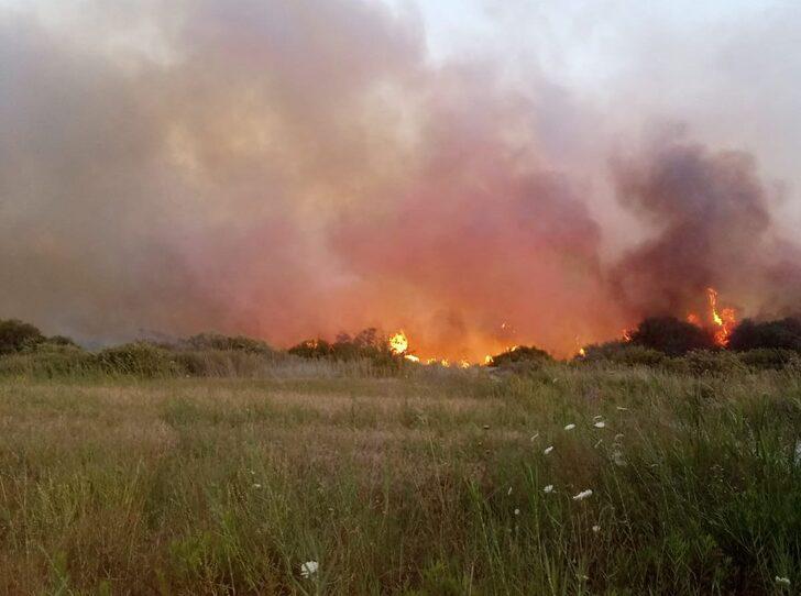 GÜNCELLEME - Antalya'da zeytinlik ve sazlık alanda yangın çıktı G4