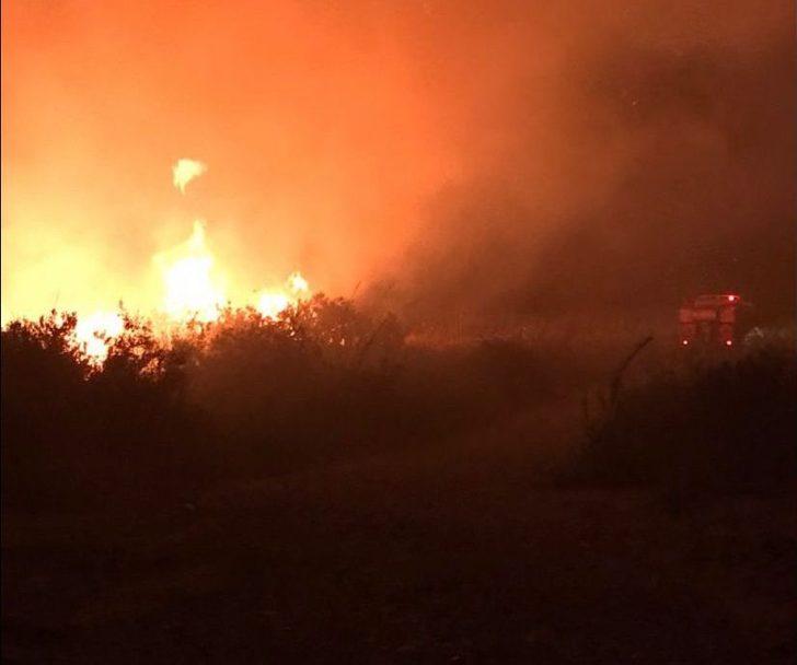 GÜNCELLEME - Antalya'da zeytinlik ve sazlık alanda yangın çıktı G5