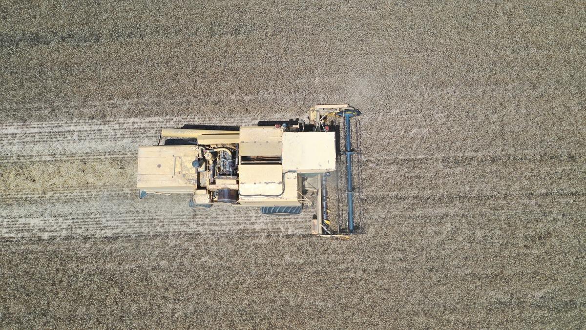 Edirne'de hasadına başlanan buğdayın rekoltesi y&uuml;z g&uuml;ld&uuml;r&uuml;yor