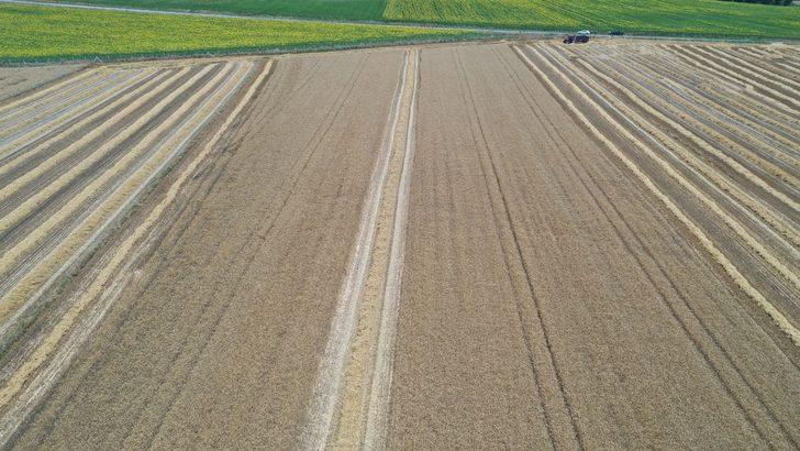 Edirne'de hasadına başlanan buğdayın rekoltesi yüz güldürüyor G4