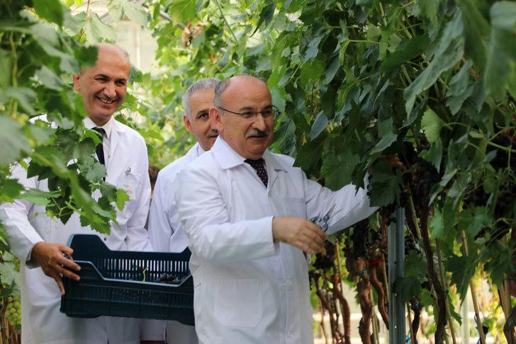 Yılda iki kez üzüm veren "Spil karası" üreticiyle buluşmaya hazır G3