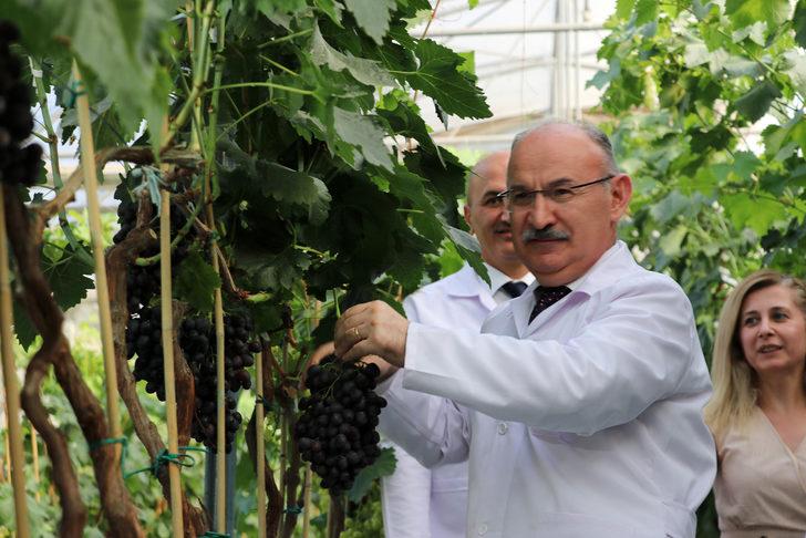 Yılda iki kez üzüm veren "Spil karası" üreticiyle buluşmaya hazır G5