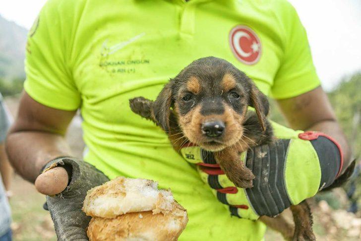 Mersin'de çukura düşen köpek yavrusunu itfaiye ekipleri kurtardı G1