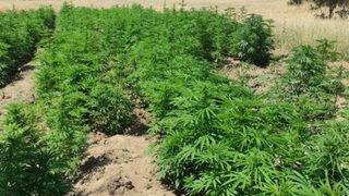 SON DAKİKA | İçişleri Bakanlığı duyurdu! Diyarbakır'da Eren Abluka-18 operasyonu başlatıldı