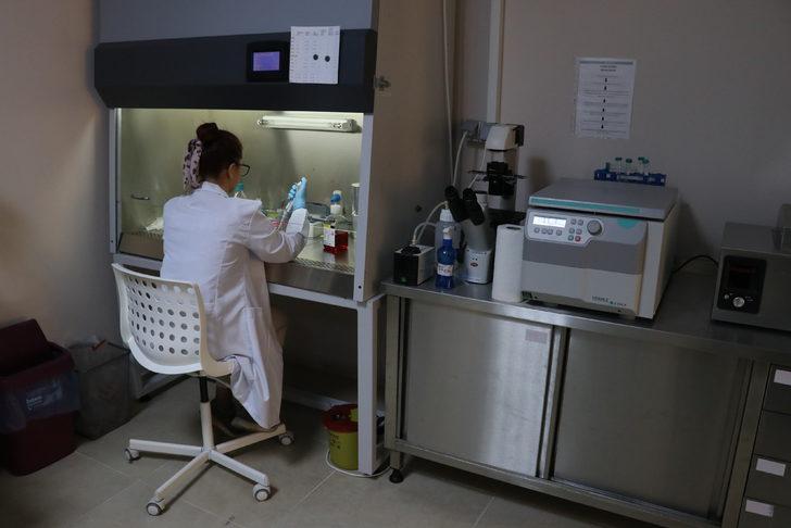 YAÜ Polimer Malzeme Mühendisliği Bölümü mezunları birçok alanda istihdam ediliyor G3