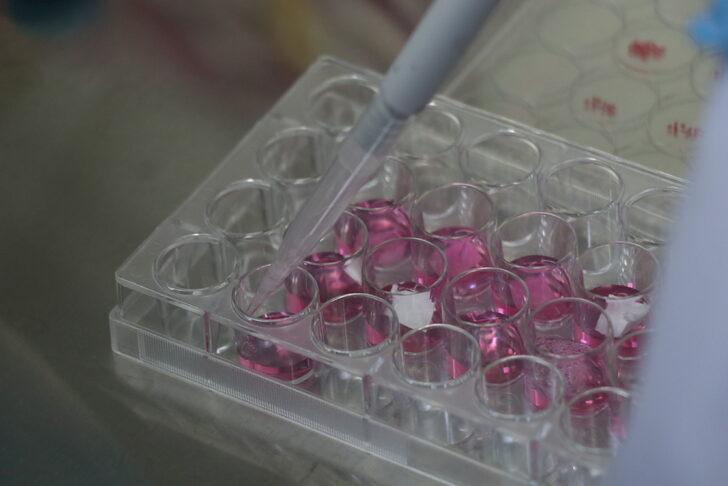 YAÜ Polimer Malzeme Mühendisliği Bölümü mezunları birçok alanda istihdam ediliyor G5