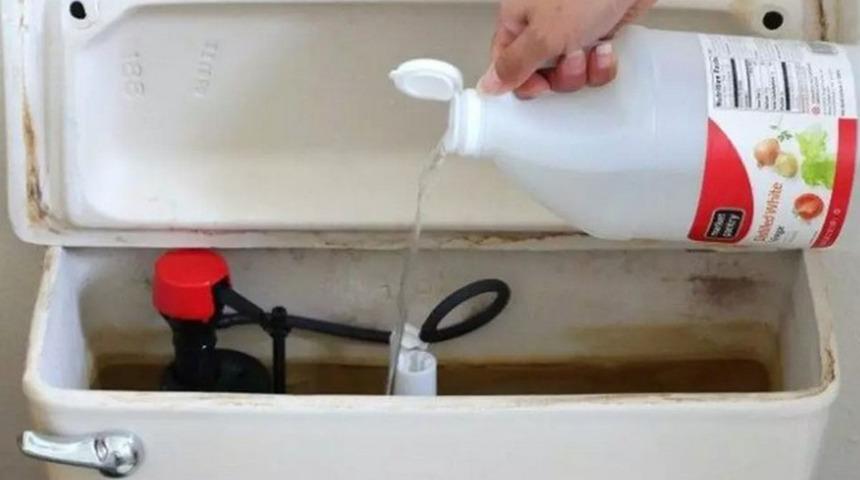 Sirkenin kesinlikle bilmek isteyeceğiniz şaşırtıcı kullanım alanları