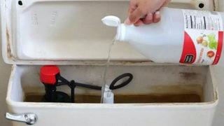 Sirkenin kesinlikle bilmek isteyeceğiniz şaşırtıcı kullanım alanları