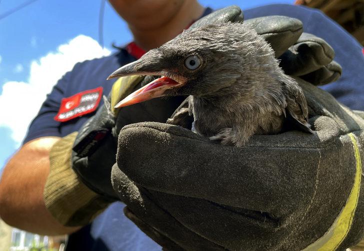 Düzce'de ayağı ipe dolanan karga yavrusu kurtarıldı G2