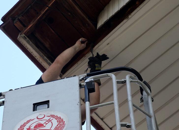 Düzce'de ayağı ipe dolanan karga yavrusu kurtarıldı G5