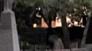 Tüyler ürperten iddia: 134 yıl önce öldü, mezarlıkta yürümeye devam ediyor! Bir kez daha kameraya yansıdı