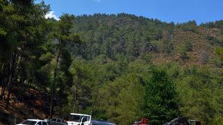 GÜNCELLEME - Köyceğiz'deki orman yangını kontrol altına alındı