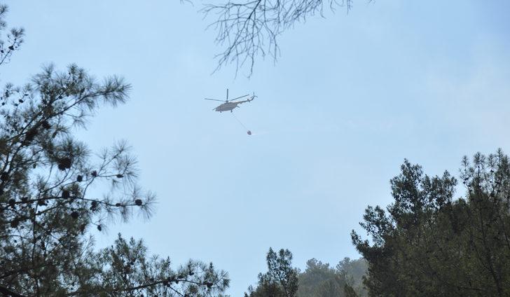 GÜNCELLEME - Köyceğiz'deki orman yangını kontrol altına alındı G4