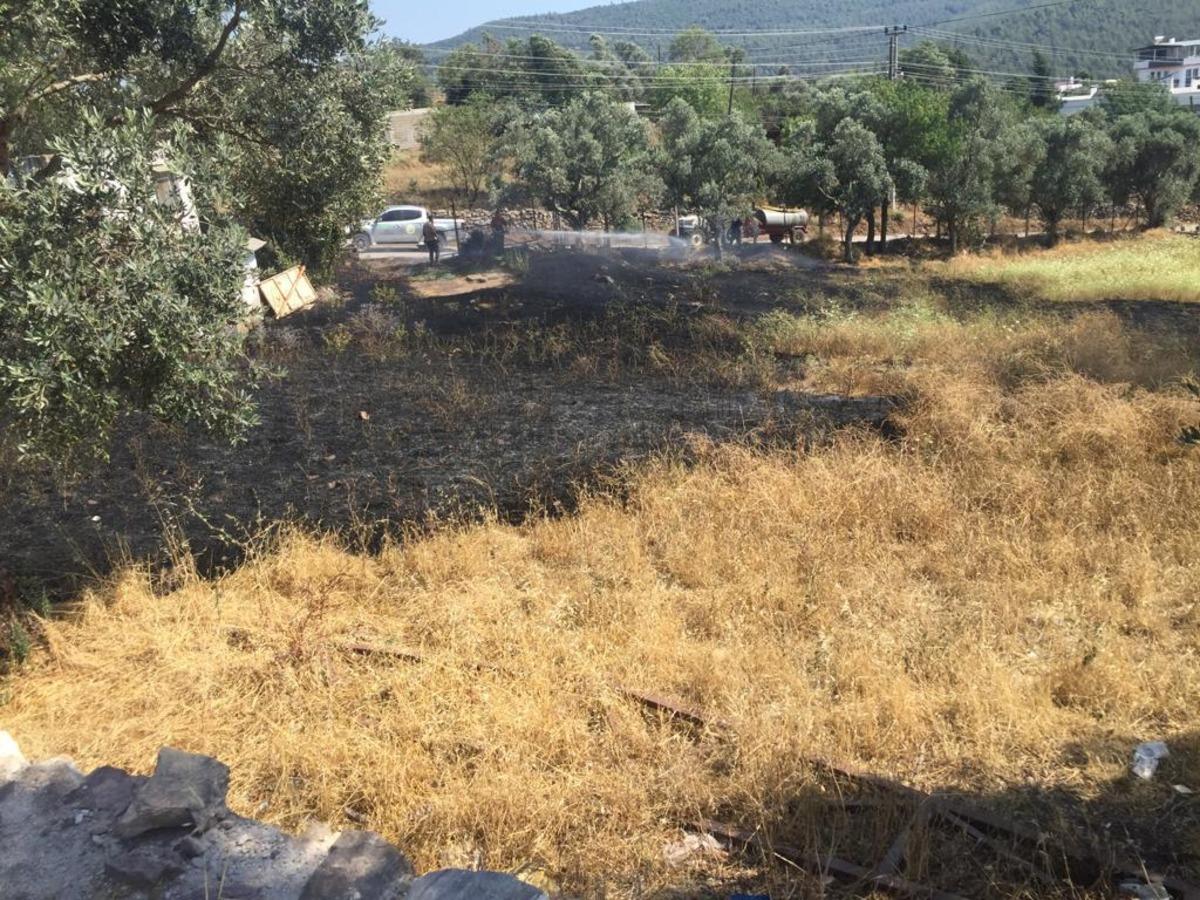 Bodrum'da otluk alanda başlayıp otomobile sı&ccedil;rayan yangın s&ouml;nd&uuml;r&uuml;ld&uuml;