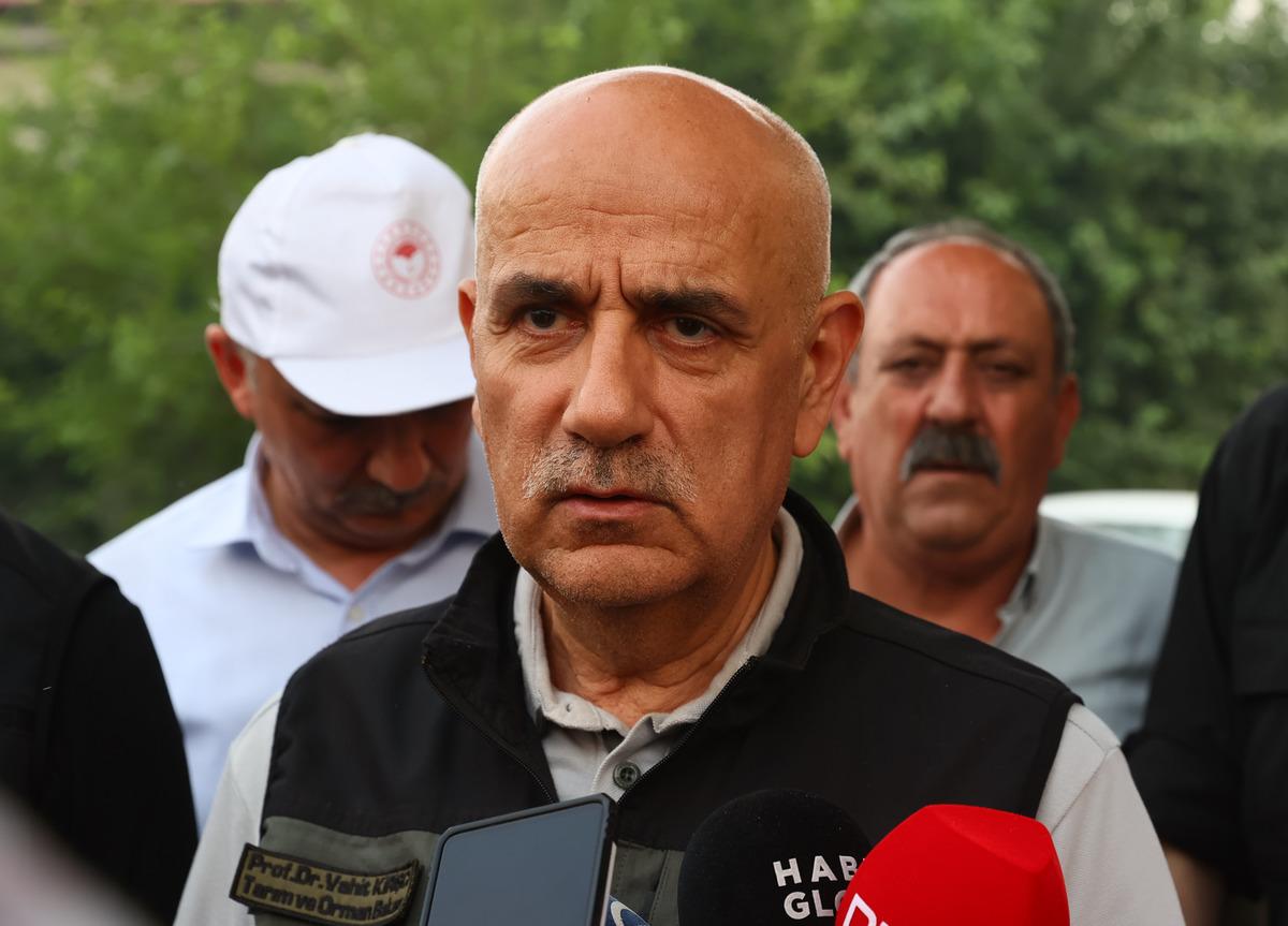 Tarım ve Orman Bakanı Vahit Kirişci, Marmaris'te orman yangını b&ouml;lgesinde a&ccedil;ıklama yaptı: