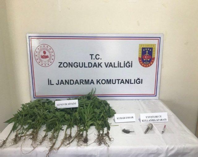 Zonguldak'ta uyuşturucu operasyonlarında yakalanan 2 şüpheli tutuklandı