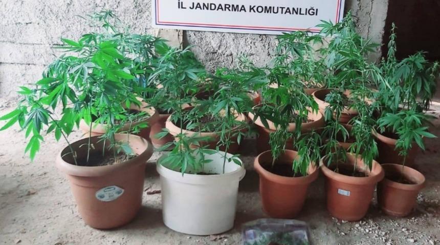 Zonguldak'ta uyuşturucu operasyonlarında yakalanan 2 şüpheli tutuklandı