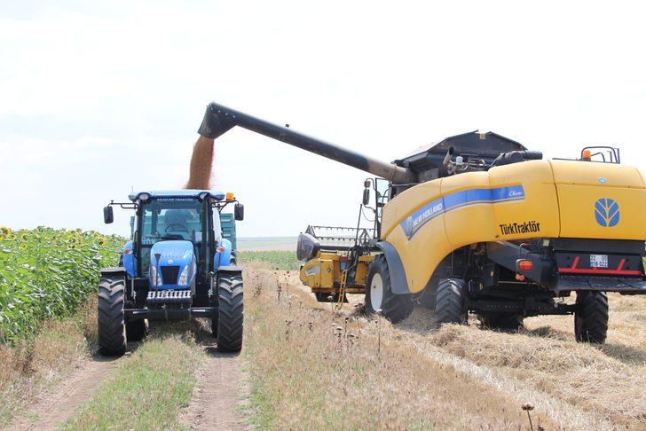 Edirne'de buğday hasadı devam ediyor G4