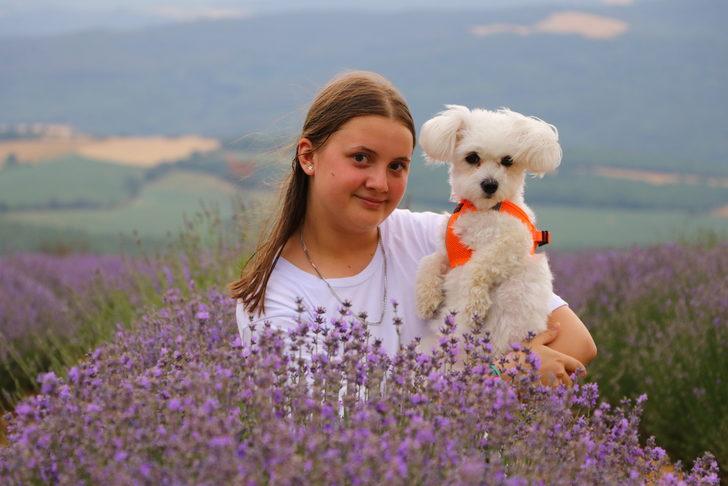 Tekirdağ'da "mor kadraj" sezonu G3