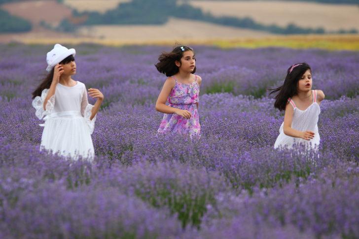 Tekirdağ'da "mor kadraj" sezonu G4