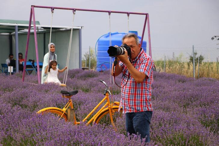 Tekirdağ'da "mor kadraj" sezonu G5