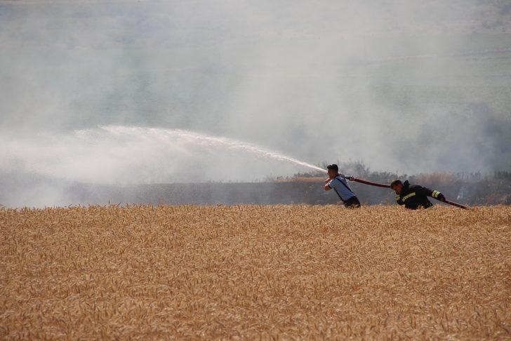 Tekirdağ'da çıkan yangında buğday ekili 300 dönüm alan zarar gördü G2