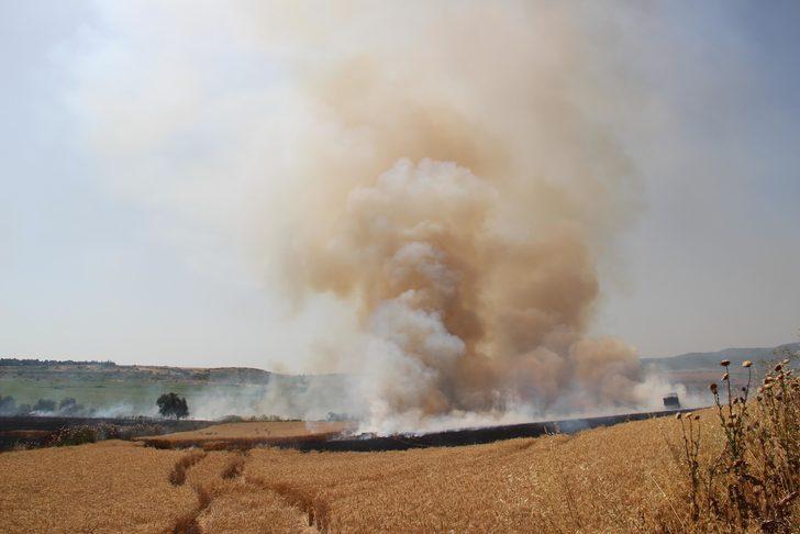 Tekirdağ'da çıkan yangında buğday ekili 300 dönüm alan zarar gördü G3