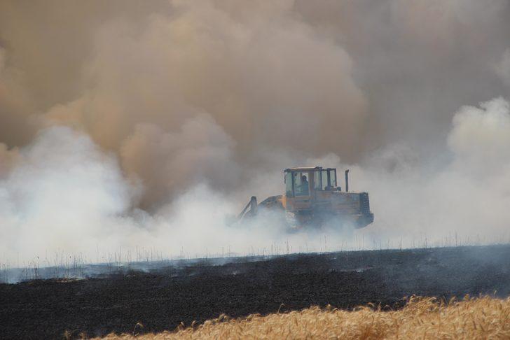 Tekirdağ'da çıkan yangında buğday ekili 300 dönüm alan zarar gördü G4