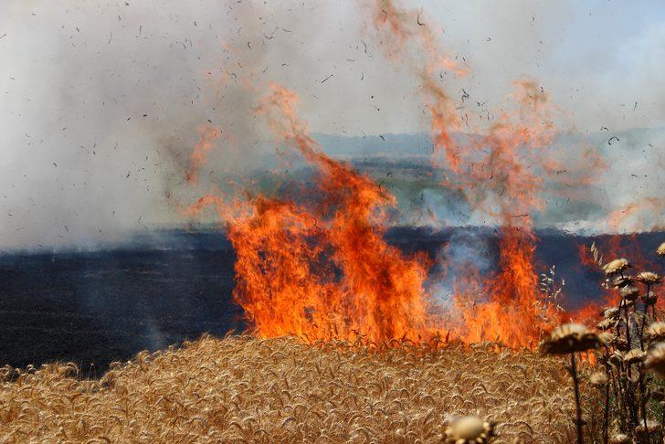 Tekirdağ'da çıkan yangında buğday ekili 300 dönüm alan zarar gördü G5