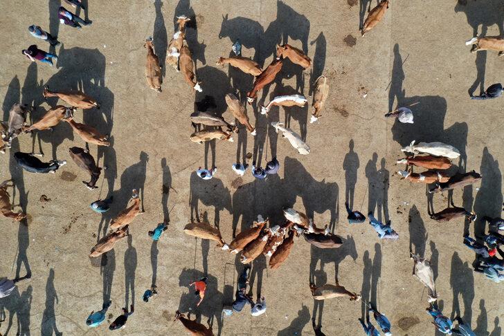 Doğu Anadolu'dan büyükşehirlere kurbanlık sevkiyatı başladı G3